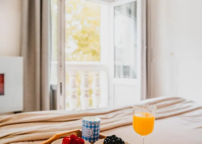 Apartament Roomchic - Les Ambassadeurs Vichy