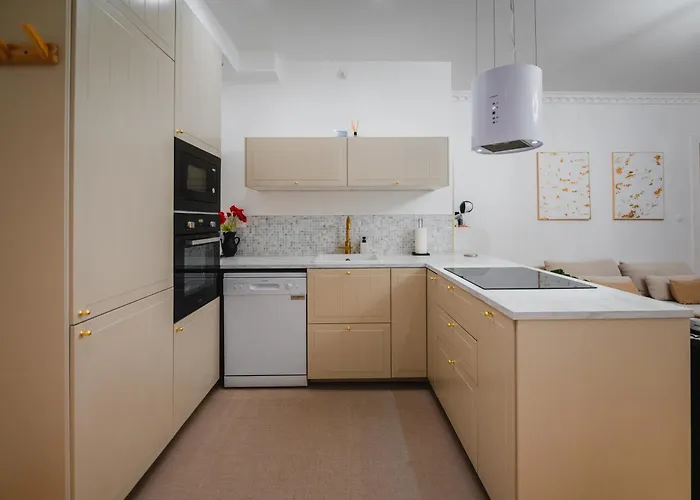 Apartament Roomchic - Les Ambassadeurs Vichy