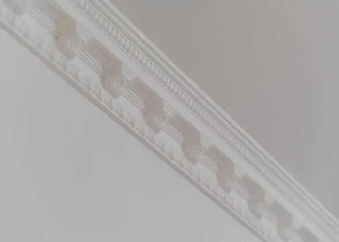 Apartament Roomchic - Les Ambassadeurs Vichy